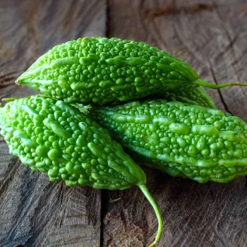 Bitter gourd (37)-5878664-86656.webp